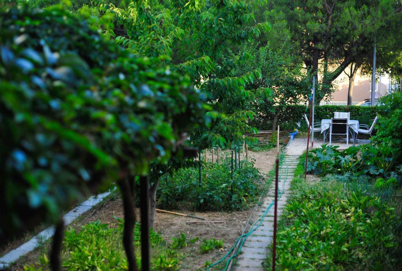 Appartement Garden Split